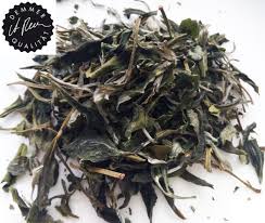 China Green Snowbuds