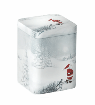Norwin doboz 100g